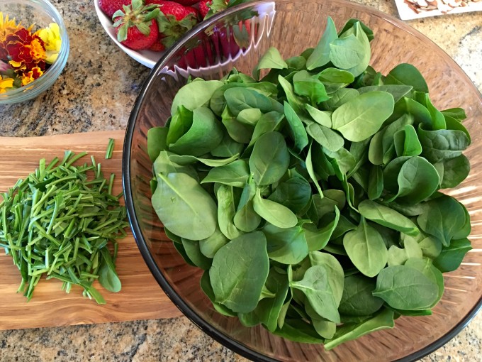 spinach, salad, greens