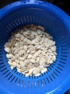 Clean seeds in a colandar
