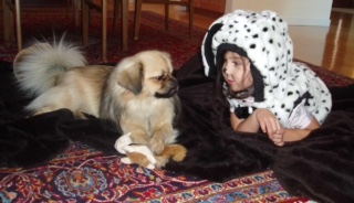 Tibetan Spaniel Oscar with our youngest daughter Ava