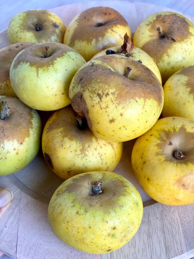 Pippin Apple Tree Apples