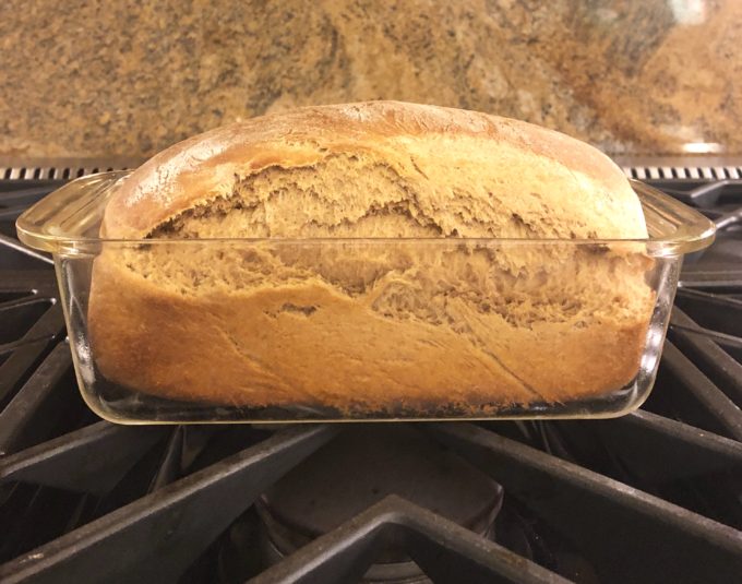 whole wheat home baked breadA