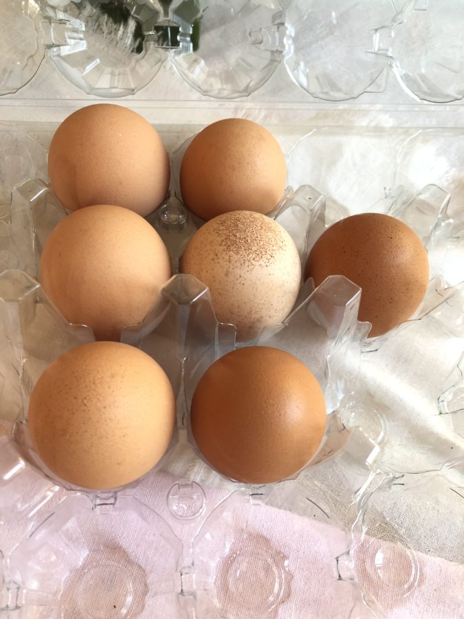 7 fresh eggs 