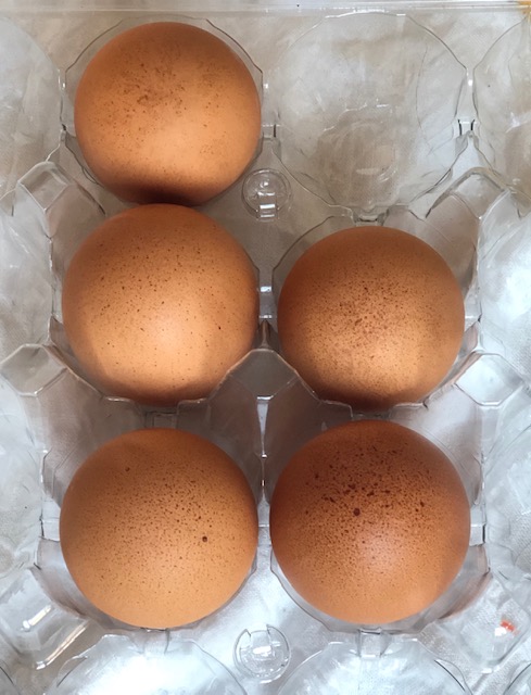5 fresh eggs