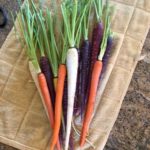 tricolor carrots