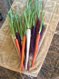 tricolor carrots