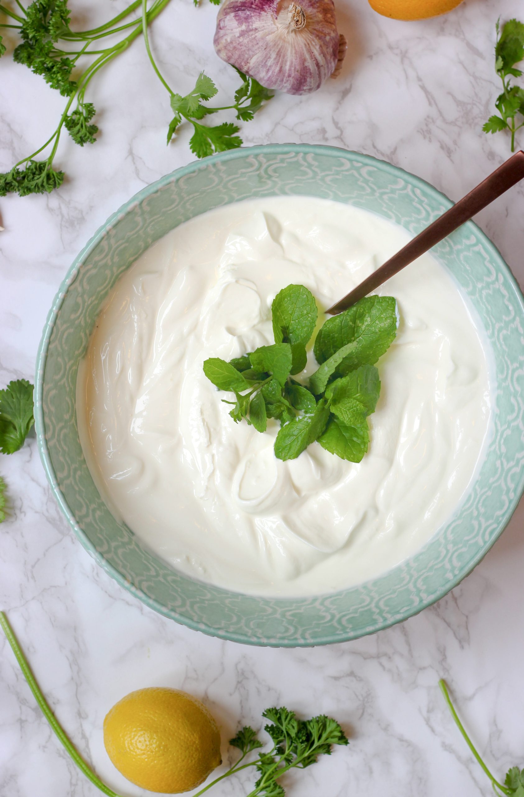 Persian Yogurt Dip | Mast O Khiar Recipe - Oven Hug