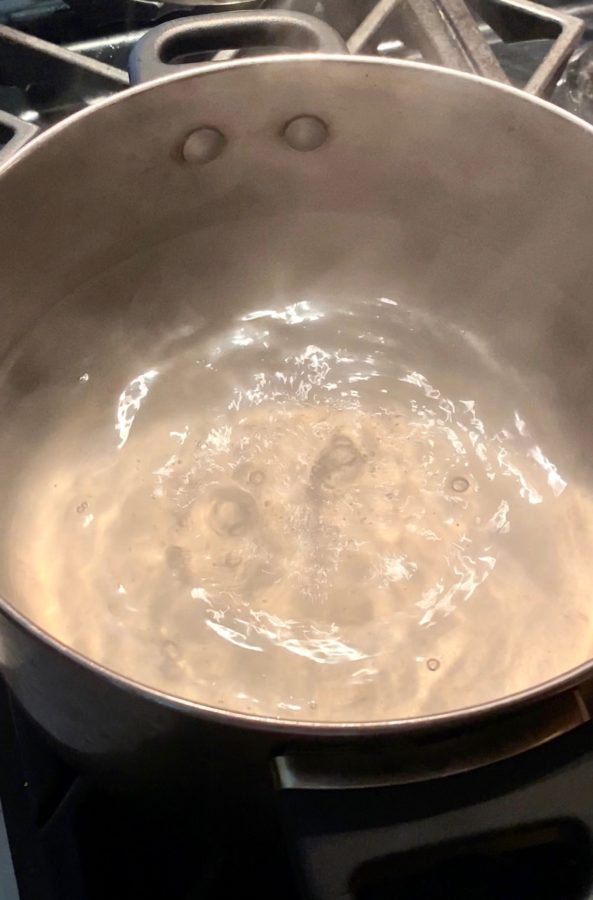 Boiling water in a pot on the stove