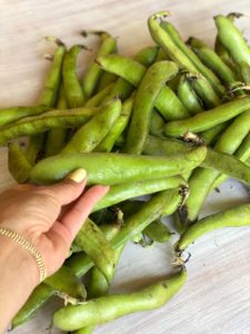 fresh whole fava beans