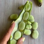 shelling fresh whole fava beans