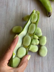 shelling fresh whole fava beans