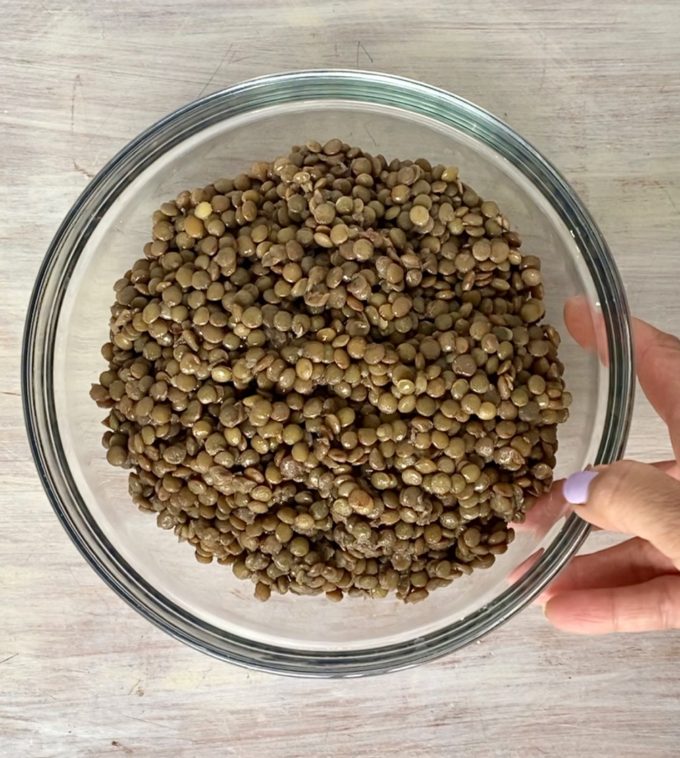 bowl of cooked brown lentils